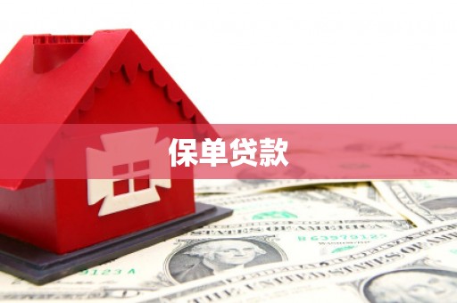 怀化保单贷款 怀化保单贷款